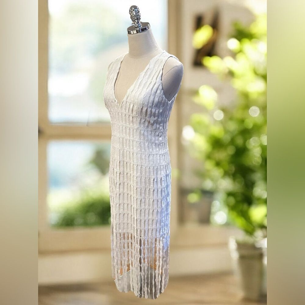 NWT Monique Lhuillier Embroidered Fringe Midi Cocktail Dress - Picture 7 of 16